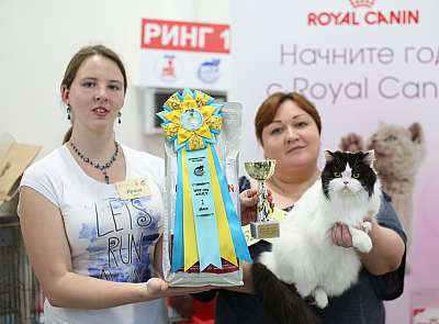   11-12  2015 WCF- 1-62-169A4319 copy.jpg
